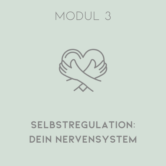 Modul 3