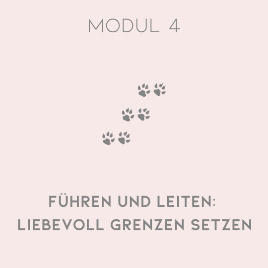 Modul 4