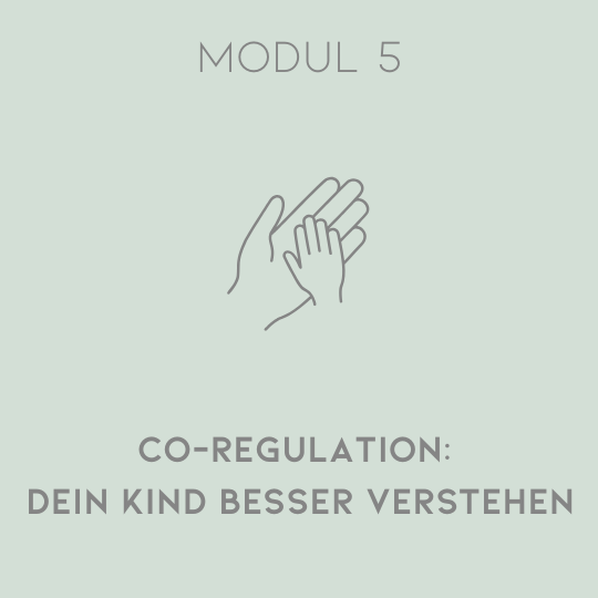 Modul 5