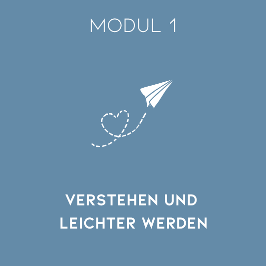 Modul 1